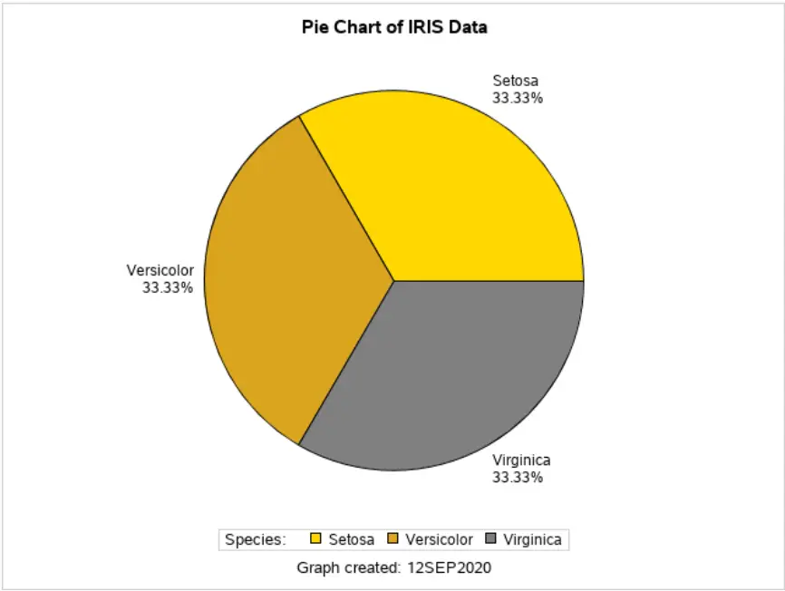 Learn How To Create Beautiful Pie Charts in SAS