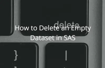 How to Delete an Empty Dataset in SAS